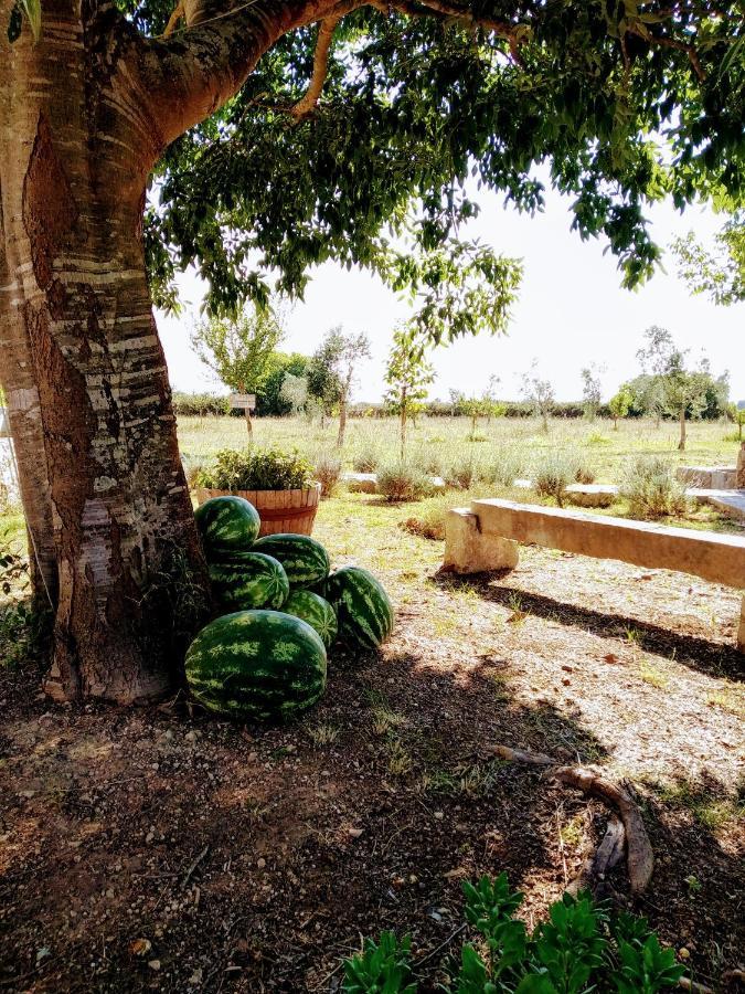 Masseria Cataldo Corigliano dʼOtranto Exterior foto