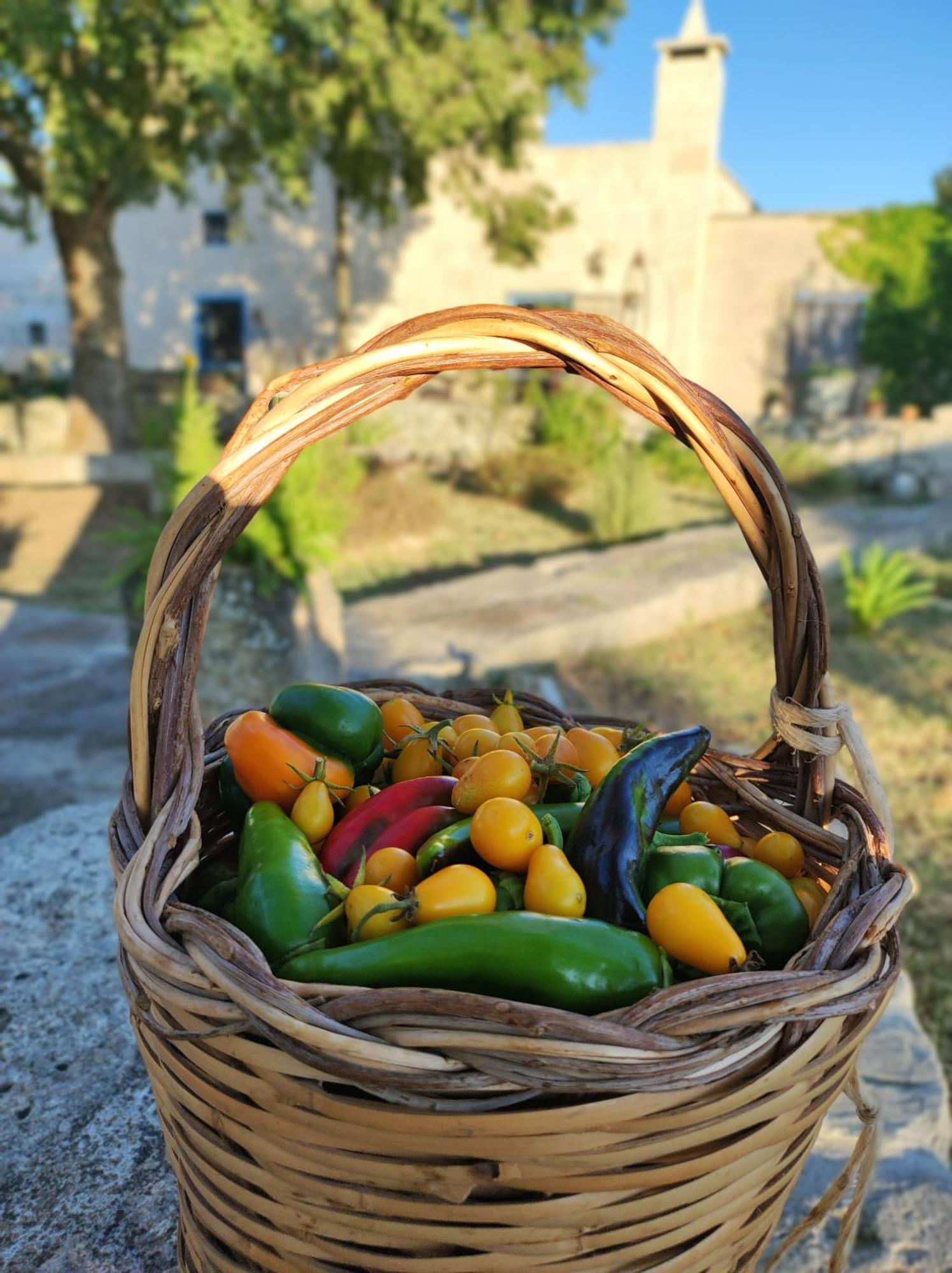 Masseria Cataldo Corigliano dʼOtranto Exterior foto