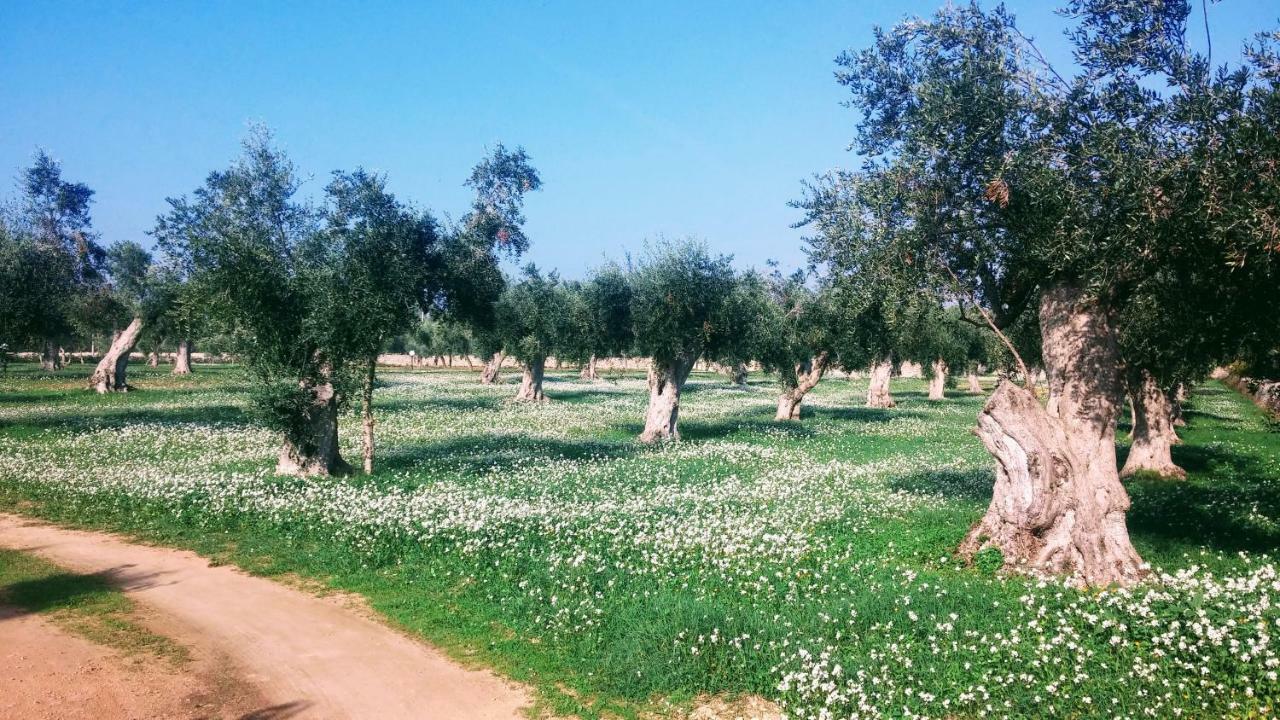 Masseria Cataldo Corigliano dʼOtranto Exterior foto
